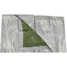 Пленка - 3х4м серебристо-зеленая 120г/м2 (BICO3x4)